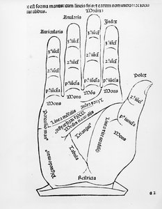 Palmistry
